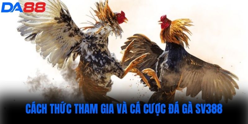 Cách thức tham gia và cá cược đá gà sv388